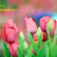 May newsletter